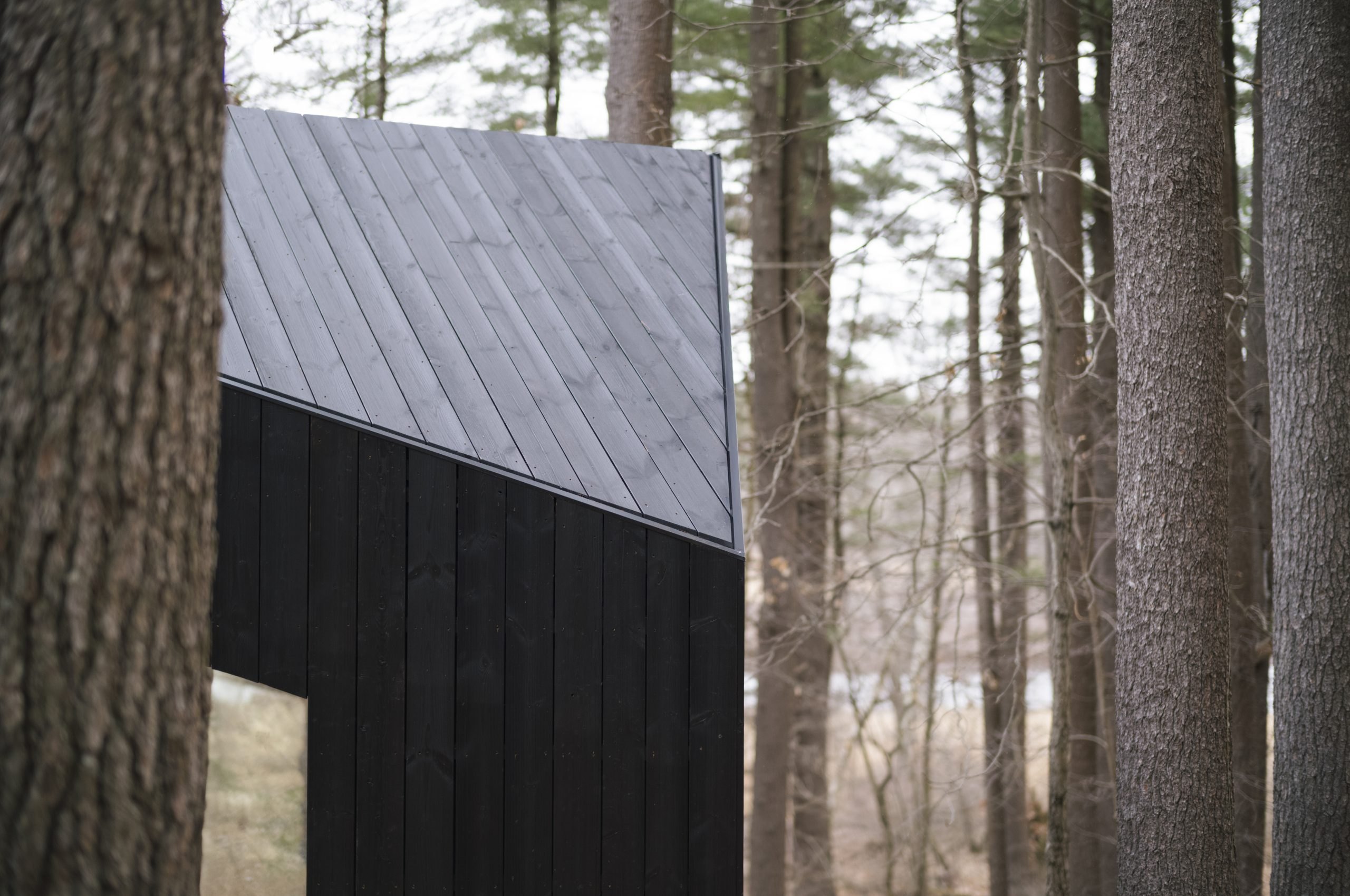 Vivienda Koto Niwa entre árboles